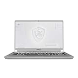 MSI WS75 10TK-651ES - Ordenador portátil de 17.3